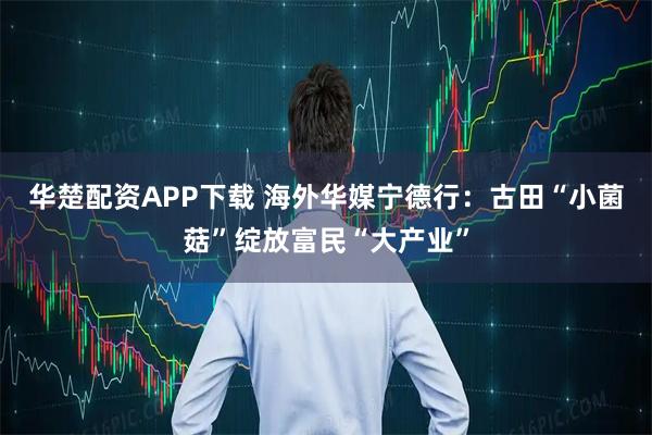 华楚配资APP下载 海外华媒宁德行：古田“小菌菇”绽放富民“大产业”