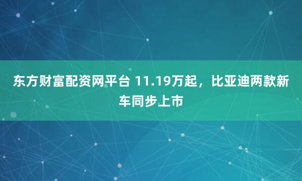 东方财富配资网平台 11.19万起，比亚迪两款新车同步上市