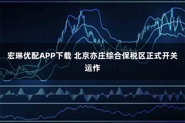 宏琳优配APP下载 北京亦庄综合保税区正式开关运作