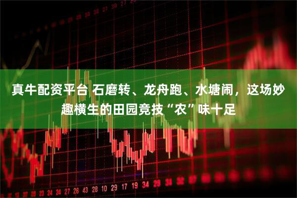 真牛配资平台 石磨转、龙舟跑、水塘闹，这场妙趣横生的田园竞技“农”味十足