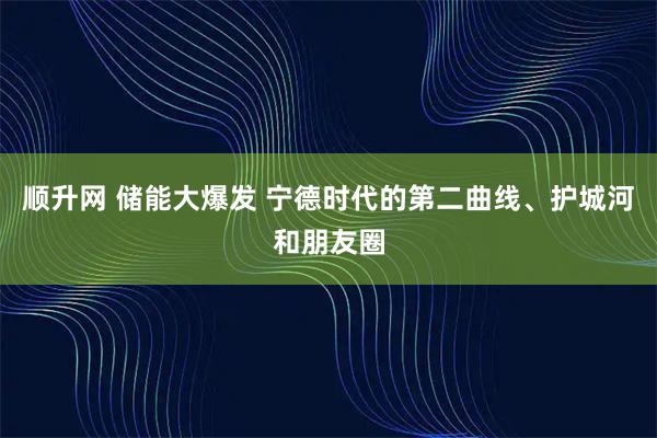 顺升网 储能大爆发 宁德时代的第二曲线、护城河和朋友圈
