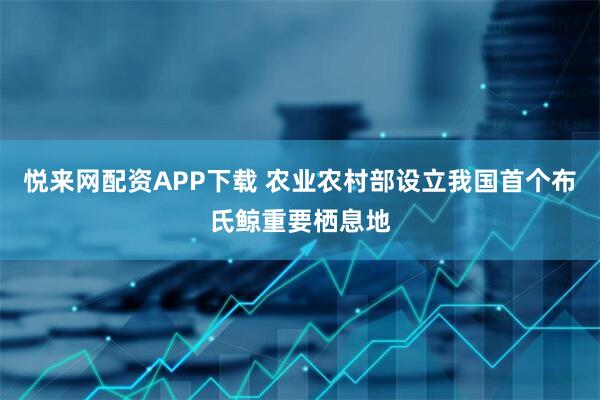 悦来网配资APP下载 农业农村部设立我国首个布氏鲸重要栖息地